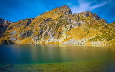 България и насоките за качеството на въздуха на Световната здравна организация