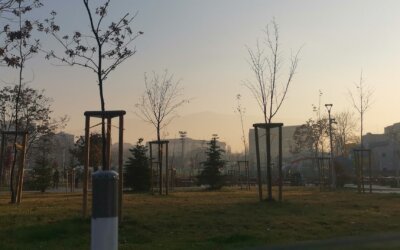 Забраняваме печките в София… но само в кварталите, където такива няма