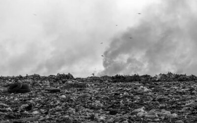 Victory for Citizens: Court Puts an End to Contentious Incineration Project in Sofia